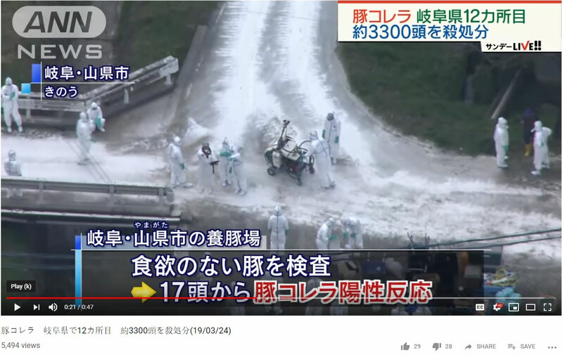 Japan Vaccinates Wild Boars as Classical Swine Fever Outbreaks Continue
