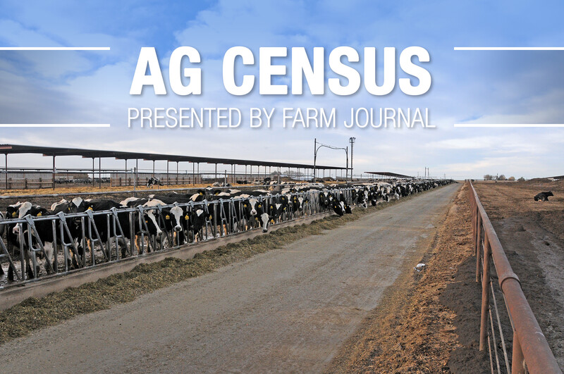 Ag Census Dairy