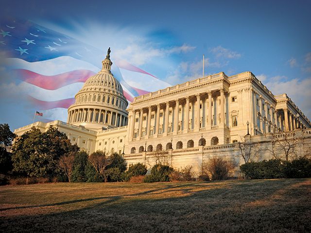 United States capitol with American flag LindseyBenne-USCapitol