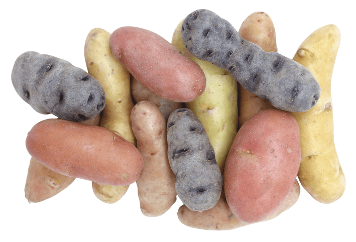 Fingerling potatoes