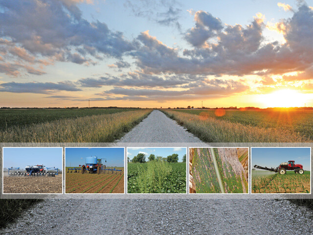 Crop production with sunset Crop production