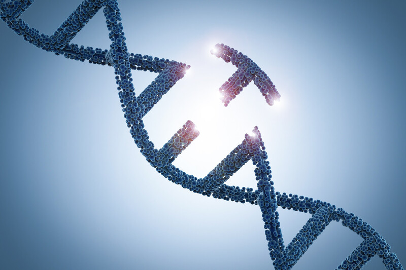 Gene Editing Finds its Way to the Farm Gene editing