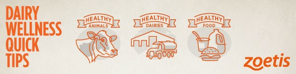 Zoetis Dairy Tips Zoetis Dairy Tips
