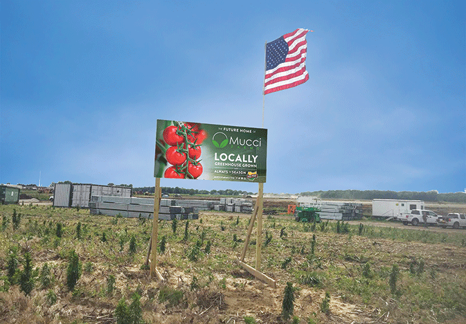 Mucci-Ohio_WEB