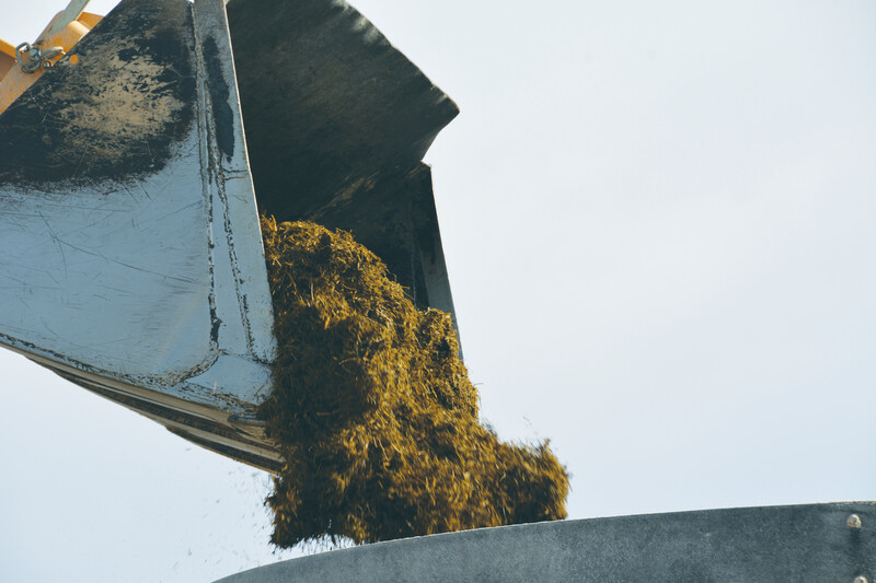Dairy TMR Nutrition Feed