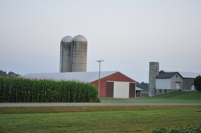 Corn photos from MI Corn College 2014. Corn 01