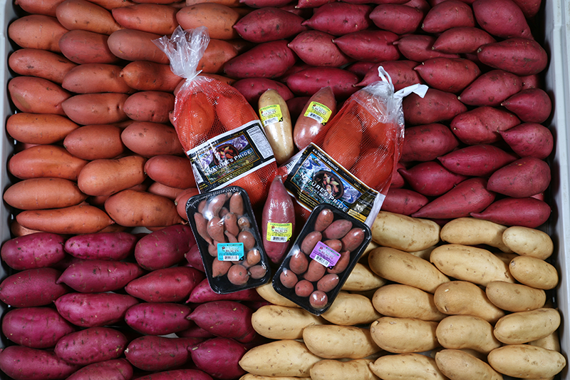 AV-Thomas_sweet-potatoes