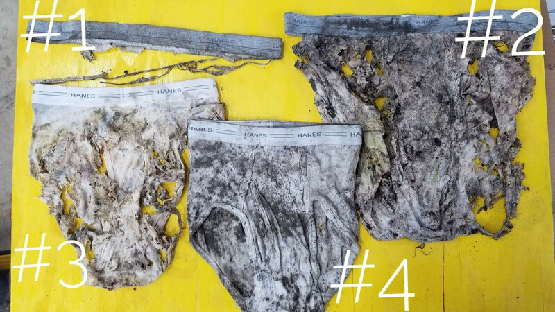 soiled undies