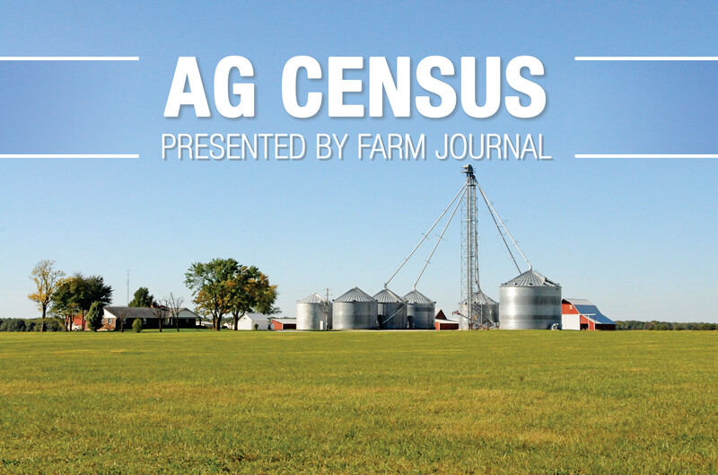 agcensus_lindseybenne_2.jpg