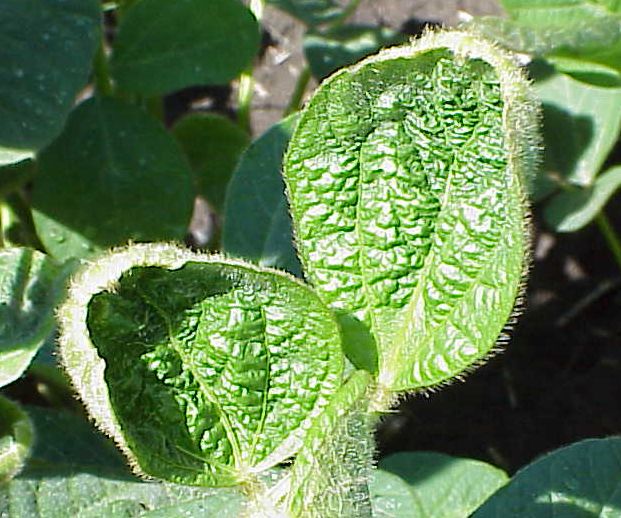 fig-3
