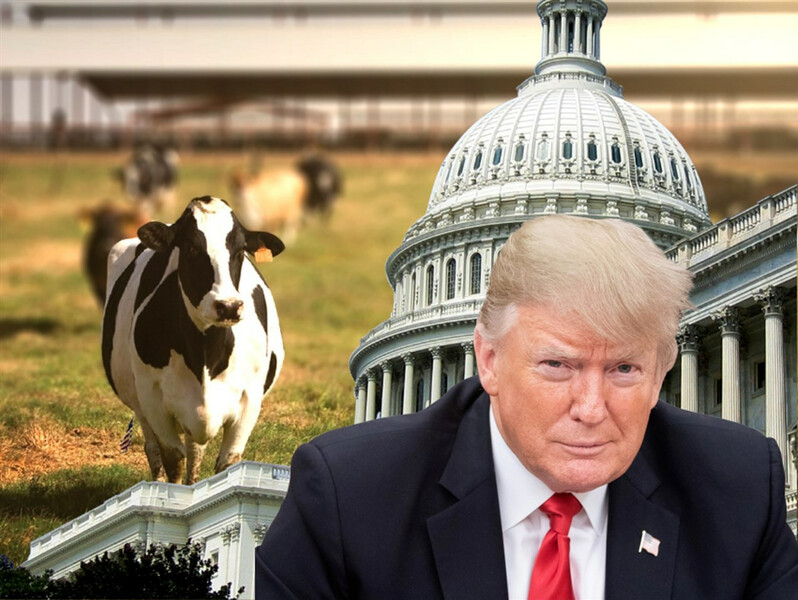 Trump Cows Congress