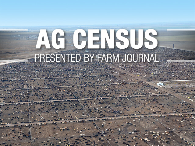AgCensus_Feedlot_Cattle