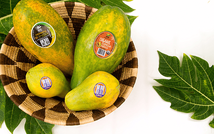 HLB-Papayas