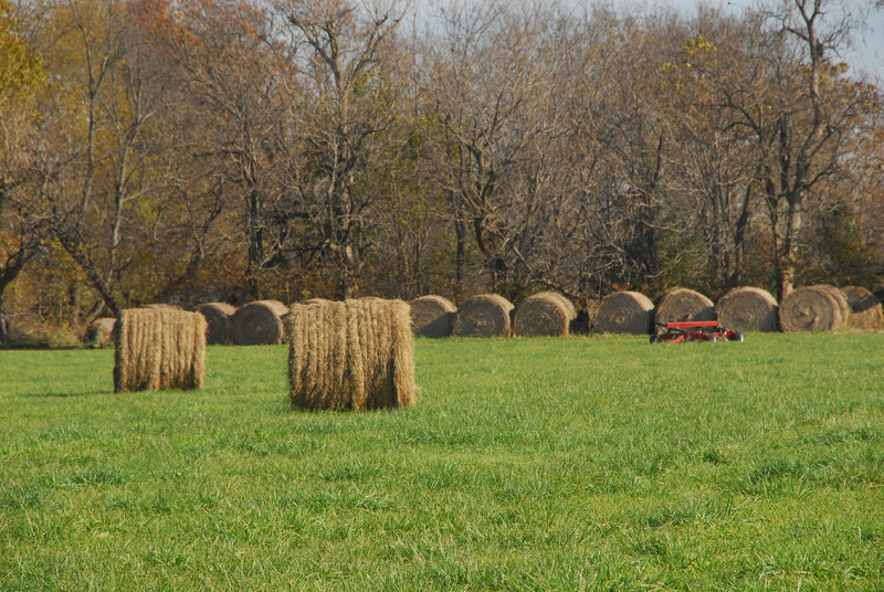 Round hay bales Hay bales 4