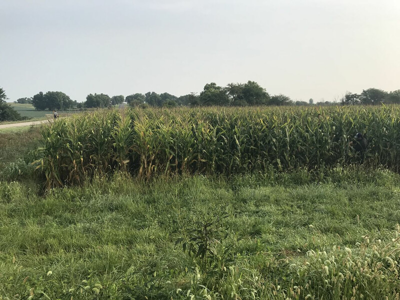 Crop Tour 2018