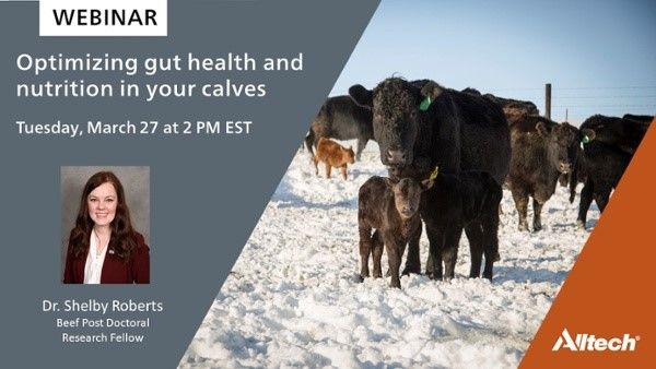 Alltech-webinar