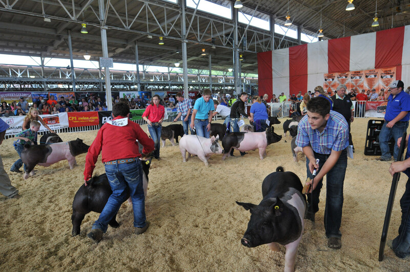 World Pork Expo