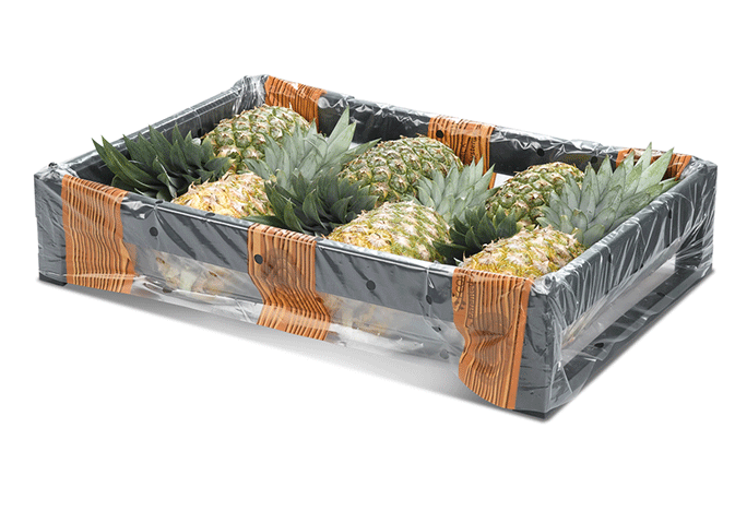 Pineapple_WEB