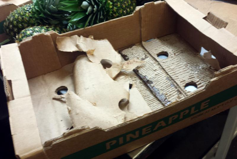 CBP-Wilmington-cocaine-082918