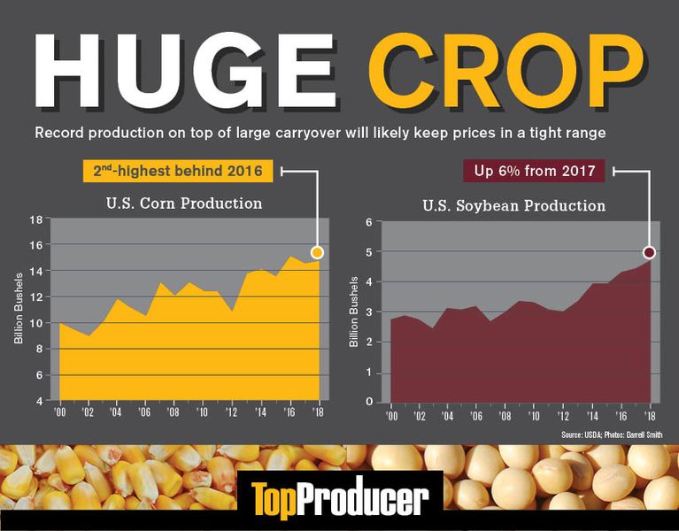 Top Producer: Huge Crop