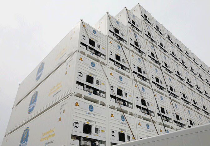 Chiquita_Maersk-containers_WEB