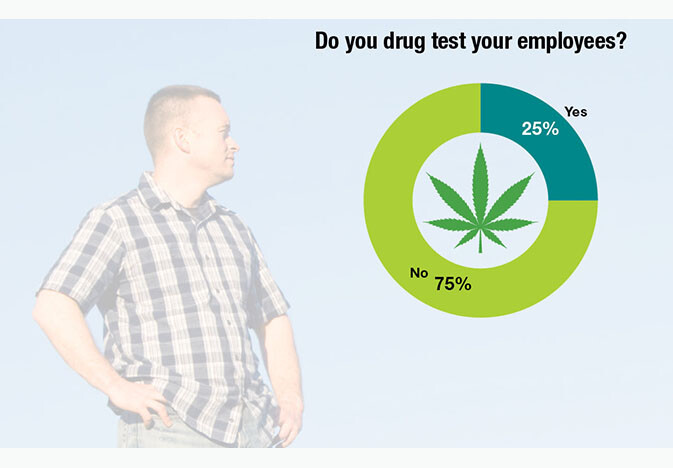 pork-cannabis-web-473