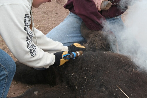 rabbit_creek_2012_130_500x333.jpg