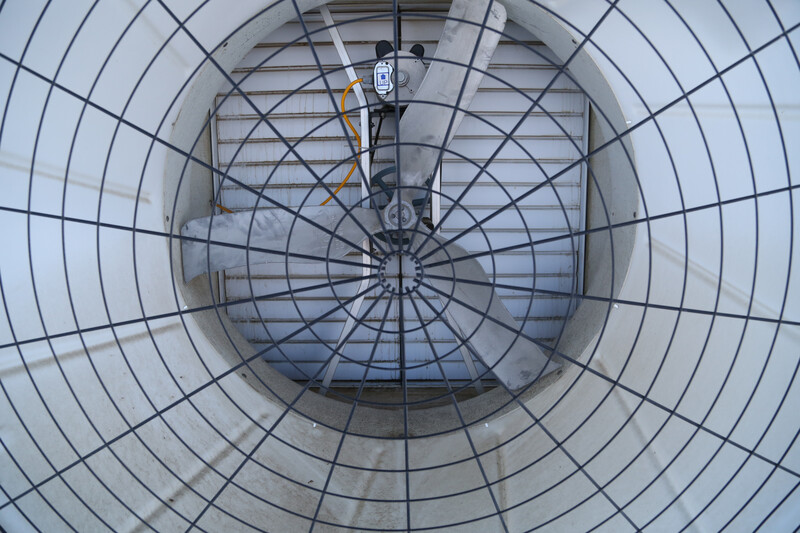 Fan