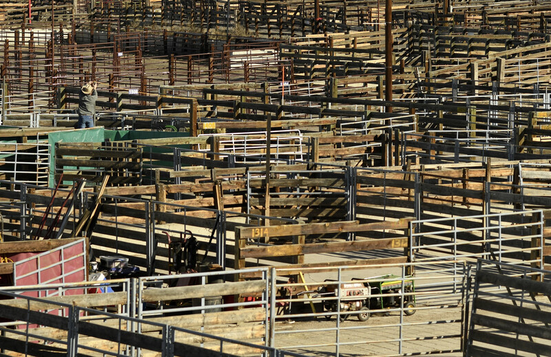 National Western Stock Show