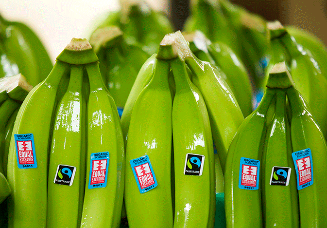 Fairtrade America Equal Exchange bananas
