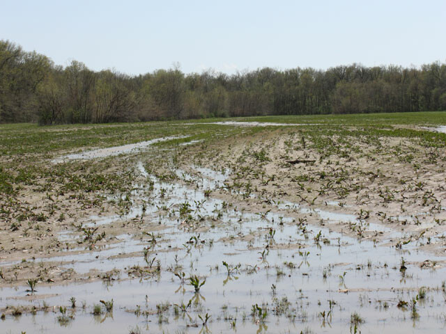 wet-muddy-field-missouri
