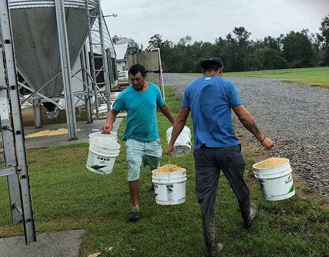 North Carolina hog farmers carry buckets of feed to their pigs NC Pork Feed Florence