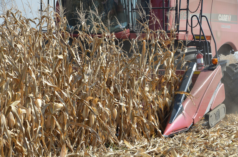 Harvest 2017 Harvest 2017