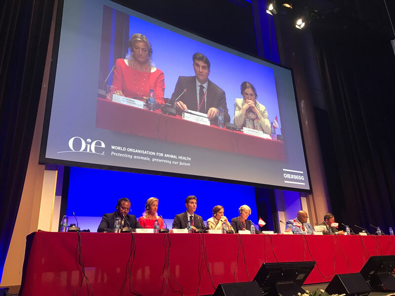 OIE Conference OIE-Conference