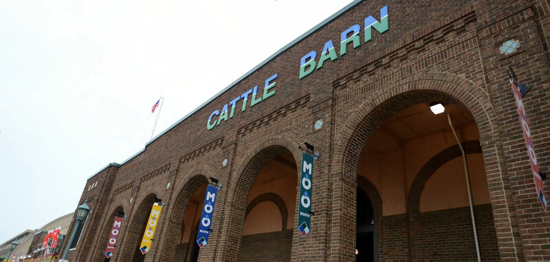 Minnesota State Fair Cattle Barn