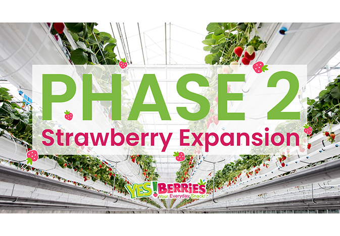 del-fresco-strawberry-expansion_WEB