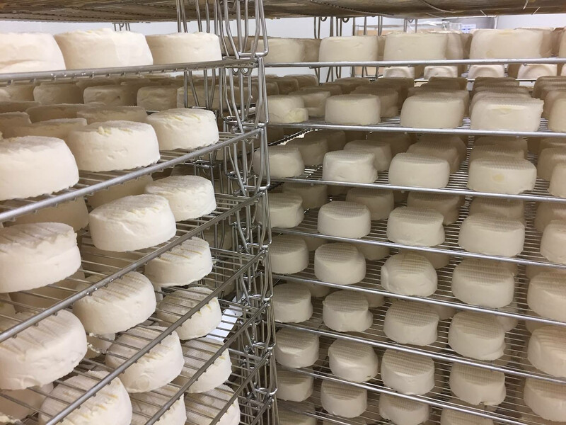 Vermont Creamery Cheese
