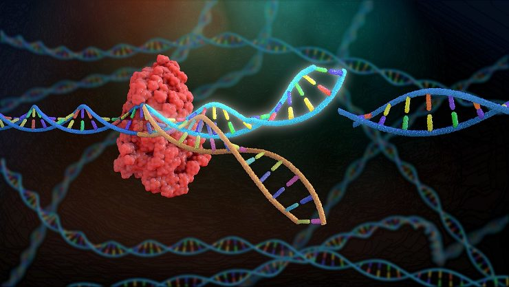 Gene-Editing-FDA Gene-Editing-FDA