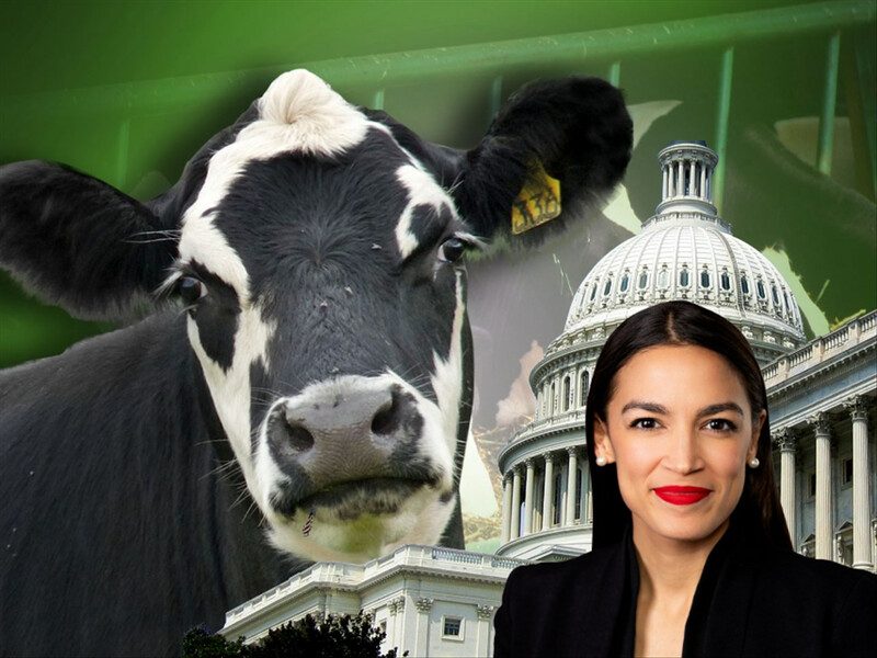 Green New Deal AOC Ocasio-Cortez