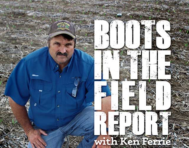 Boots in the Field Report with Ken Ferrie Boots in Field