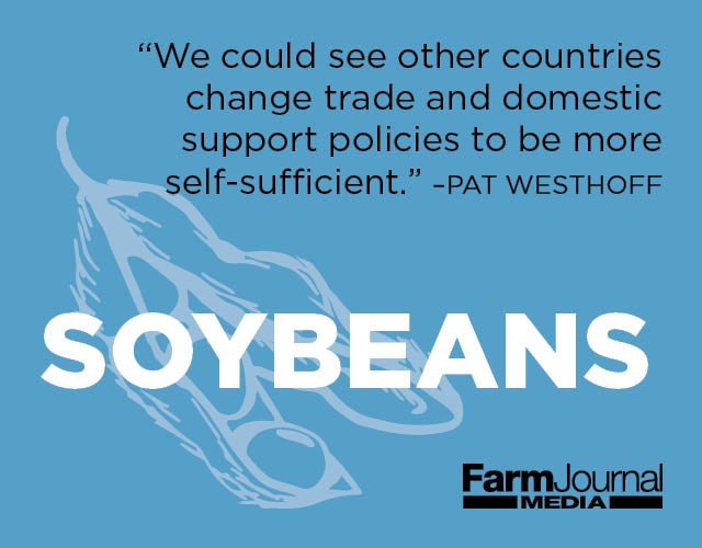 Soybeans Outlook