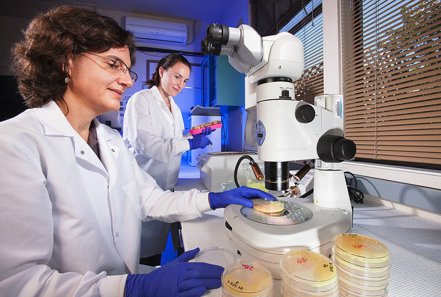 AMR Research, USDA AMR-Research-USDA