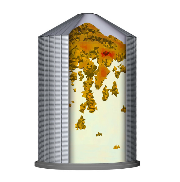 GSI GrainViz image