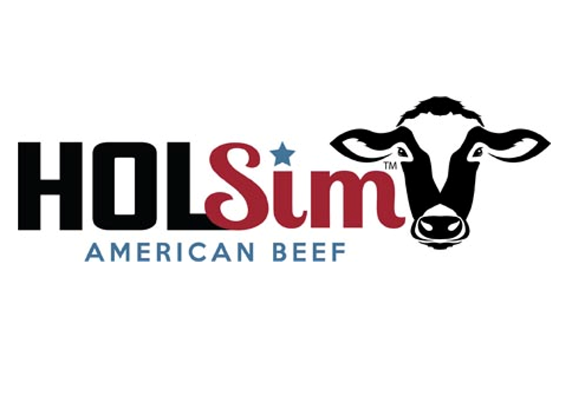 HOLSim Logo
