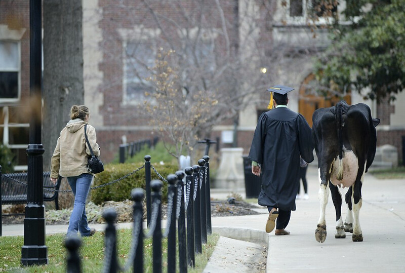 Mizzou Graduation