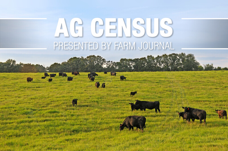 Ag Census Cattle Grazing