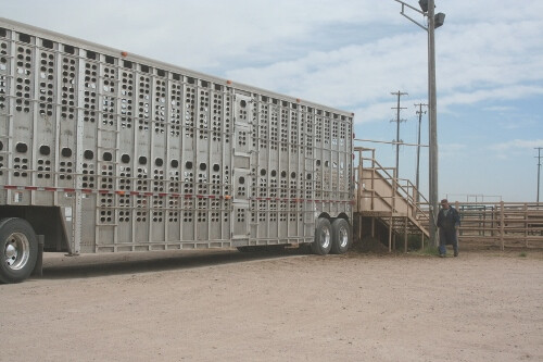 Cattle Truck Novus-tour-Sept.16 034 (500x333)