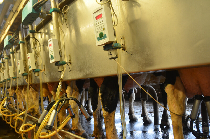 Heins Family Farms in Higginsville, MO. Heins Family Farms 10