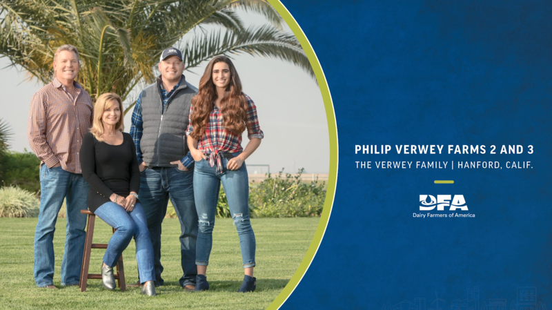 Verwey Family DFA