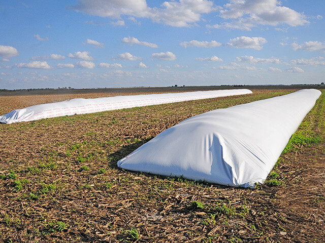 Grain Bag